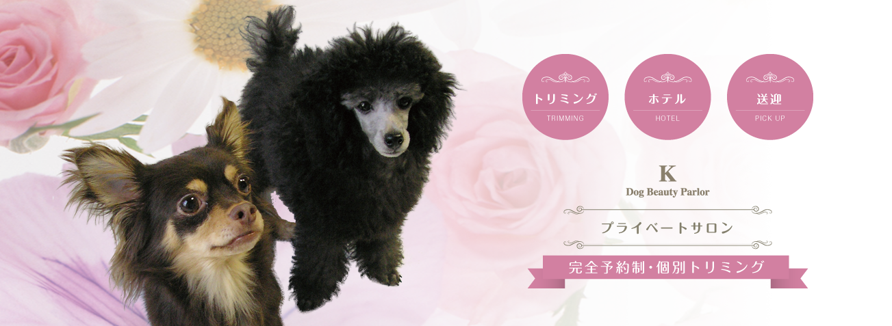 Dog Beauty Parler K / 犬の美容室