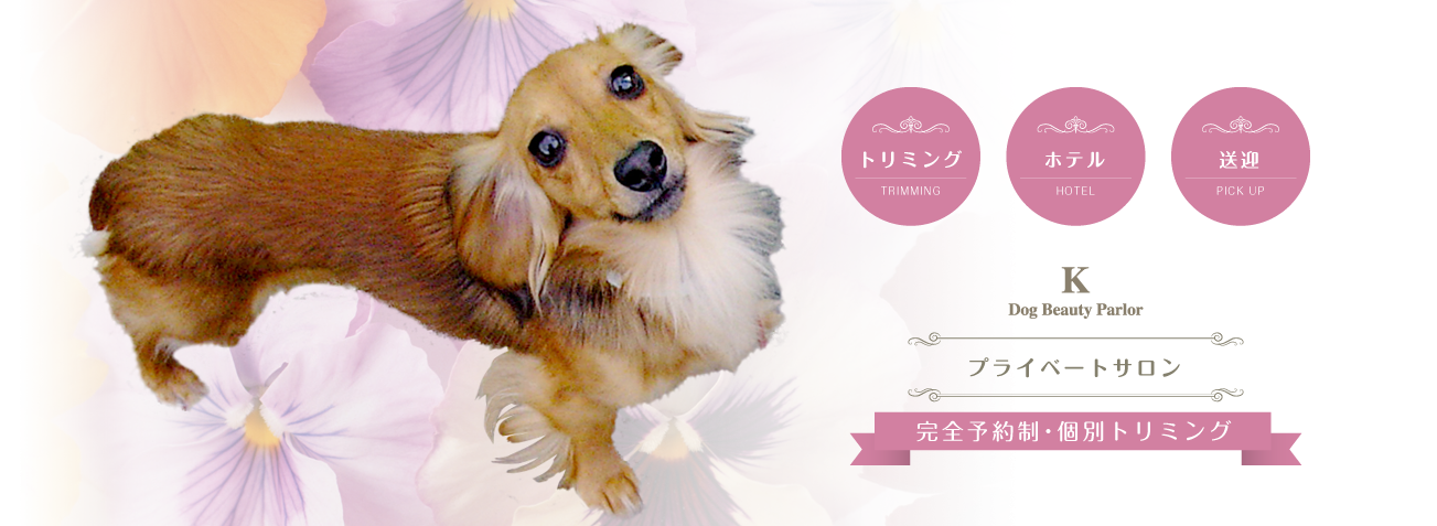 Dog Beauty Parler K / 犬の美容室