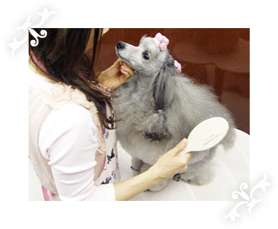 シャンプーコースに含まれるメニュー