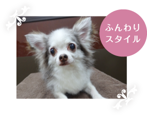 オプションメニュー 