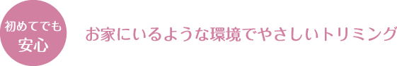 初めてでも安心　自宅にいるような環境でやさしいトリミング