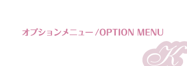 オプションメニュー